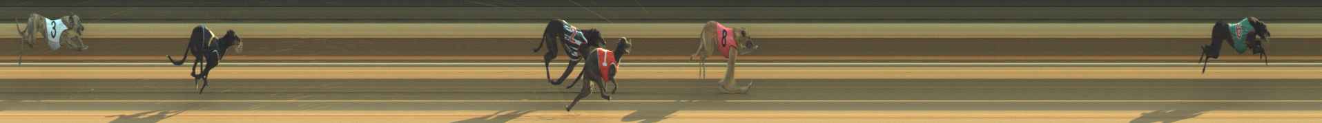 Photo finish for Warragul Race 2