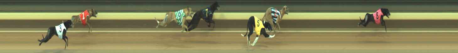Photo finish for Warragul Race 4