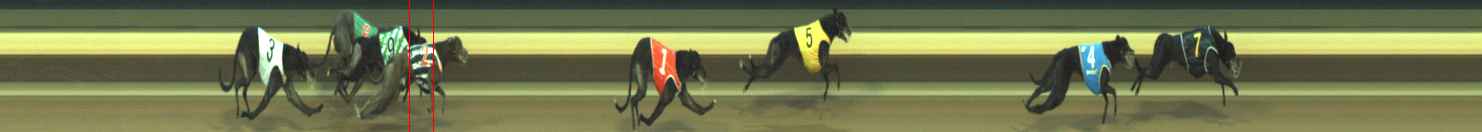 Photo finish for Warragul Race 5