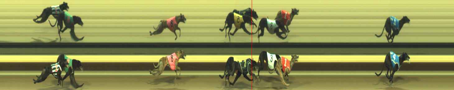 Photo finish for Warragul Race 6
