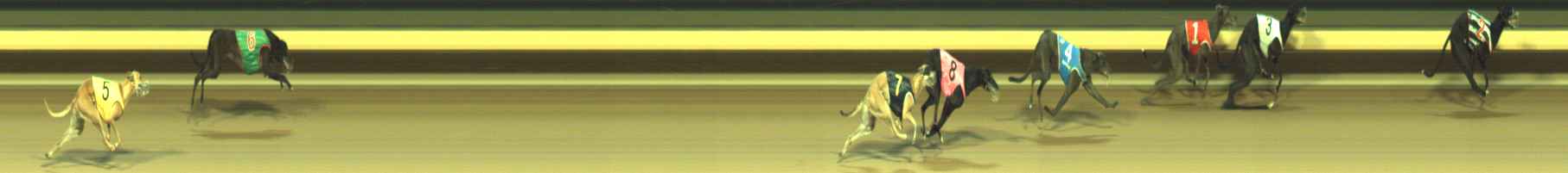 Photo finish for Warragul Race 8