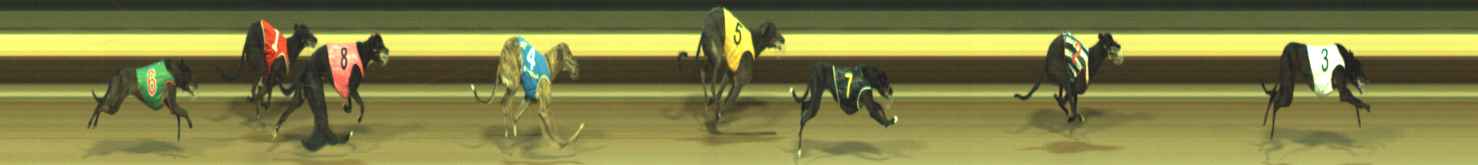 Photo finish for Warragul Race 9
