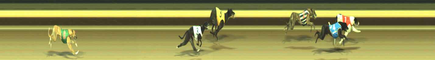 Photo finish for Warragul Race 10