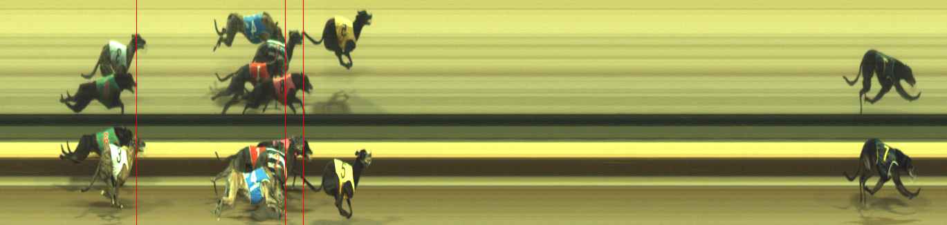 Photo finish for Warragul Race 11