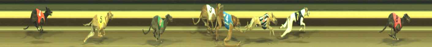 Photo finish for Warragul Race 12