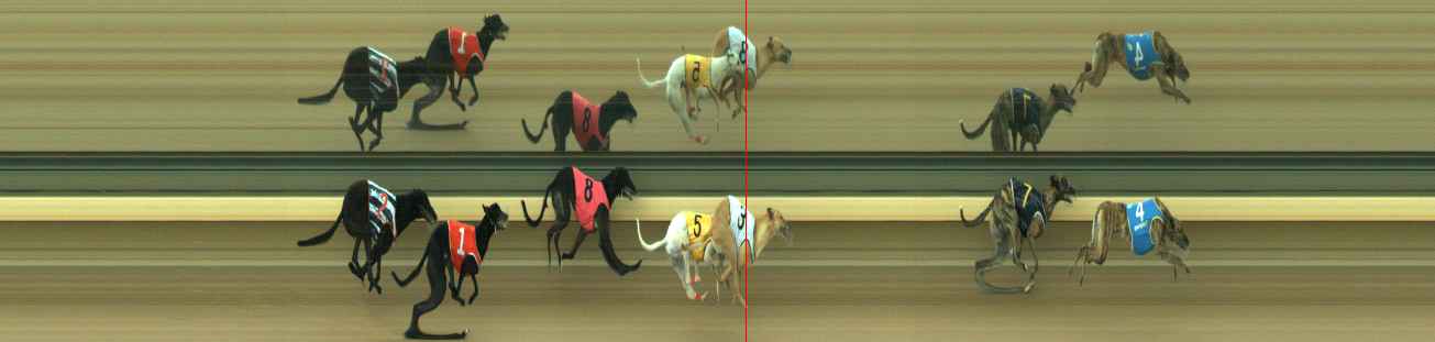 Photo finish for Warragul Race 1