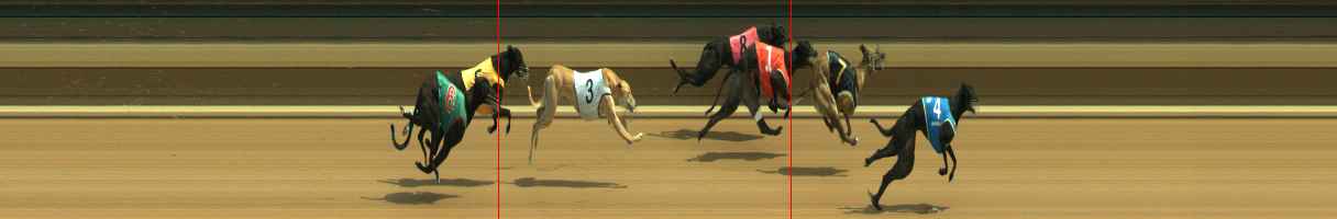 Photo finish for Warragul Race 3
