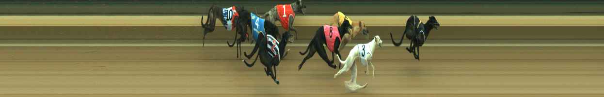 Photo finish for Warragul Race 5