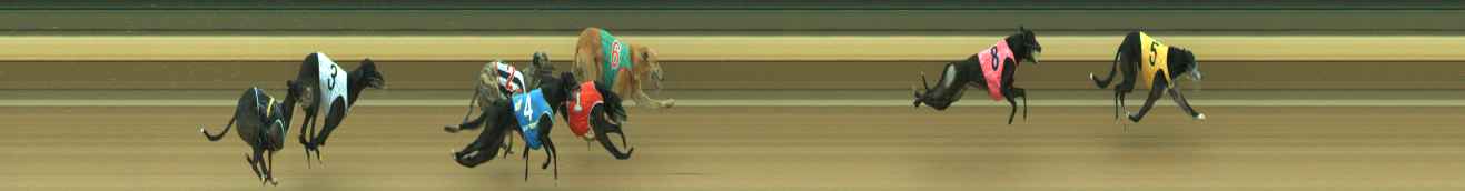Photo finish for Warragul Race 6