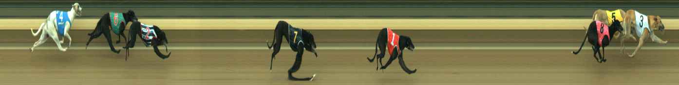 Photo finish for Warragul Race 9