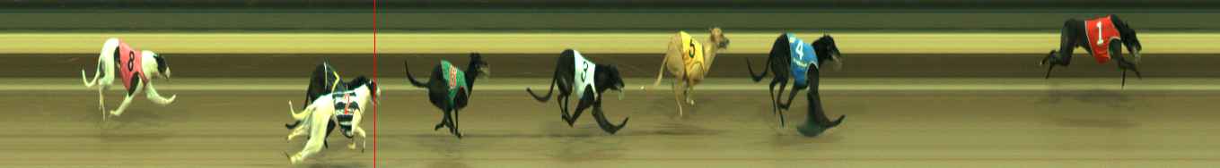 Photo finish for Warragul Race 10