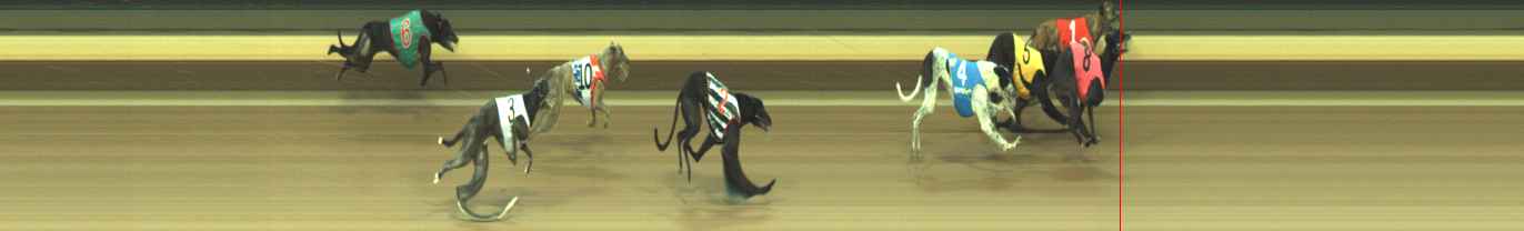 Photo finish for Warragul Race 11