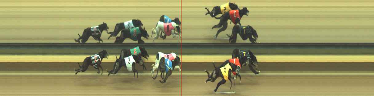Photo finish for Warragul Race 12