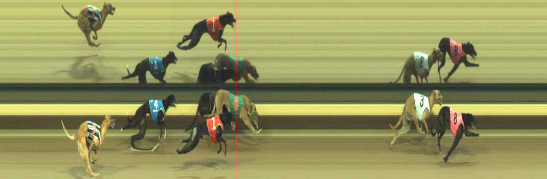 Photo finish for Warragul Race 4