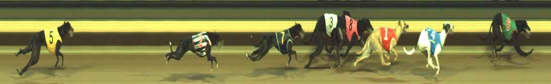 Photo finish for Warragul Race 6