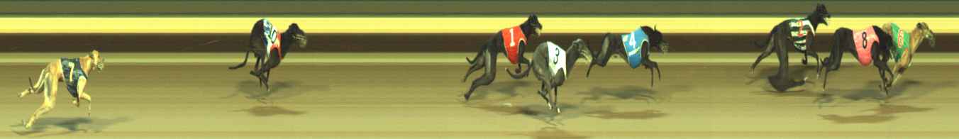 Photo finish for Warragul Race 8