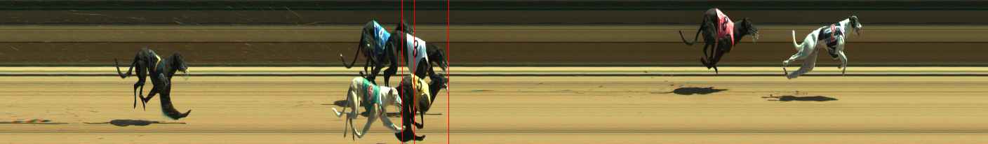 Photo finish for Warragul Race 5