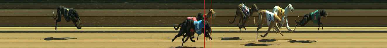 Photo finish for Warragul Race 8