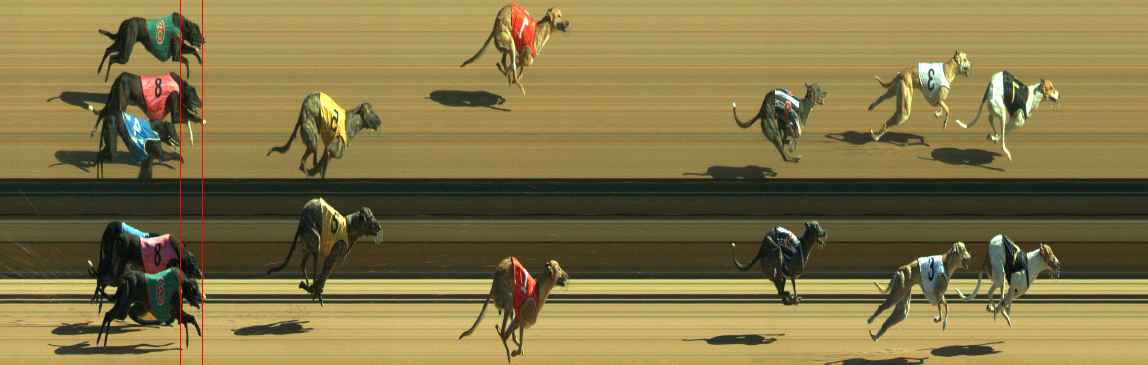 Photo finish for Warragul Race 9