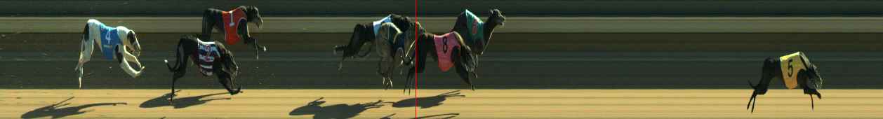 Photo finish for Warragul Race 12