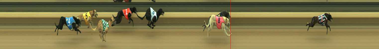 Photo finish for Warragul Race 2