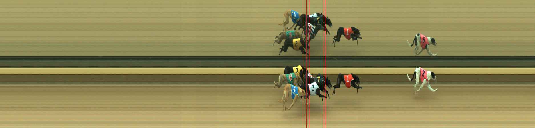 Photo finish for Warragul Race 5