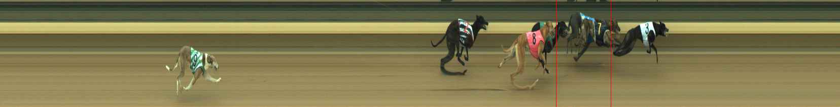 Photo finish for Warragul Race 7
