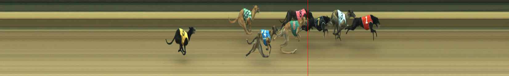 Photo finish for Warragul Race 8