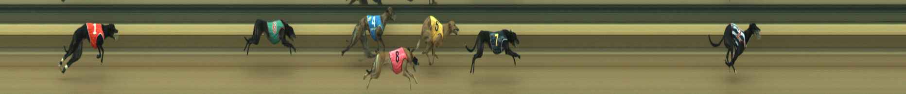 Photo finish for Warragul Race 9