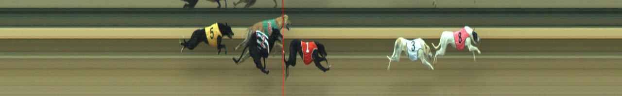 Photo finish for Warragul Race 11