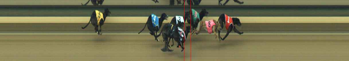 Photo finish for Warragul Race 12