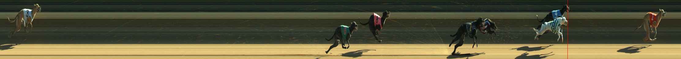 Photo finish for Warragul Race 1