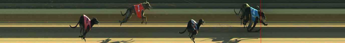 Photo finish for Warragul Race 2