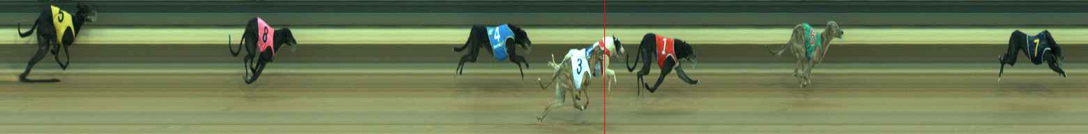 Photo finish for Warragul Race 4