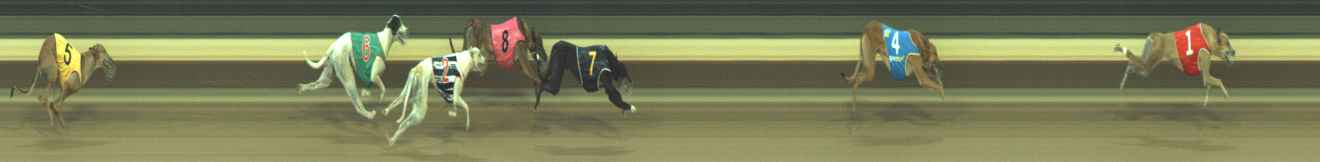 Photo finish for Warragul Race 5