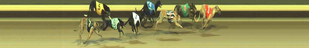 Photo finish for Warragul Race 6