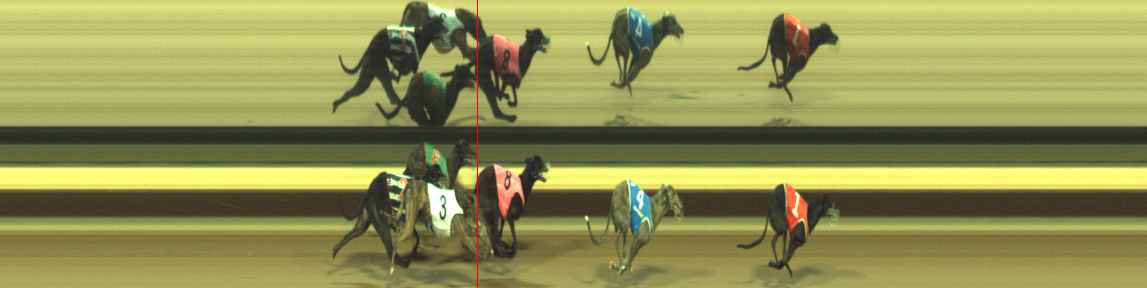 Photo finish for Warragul Race 7