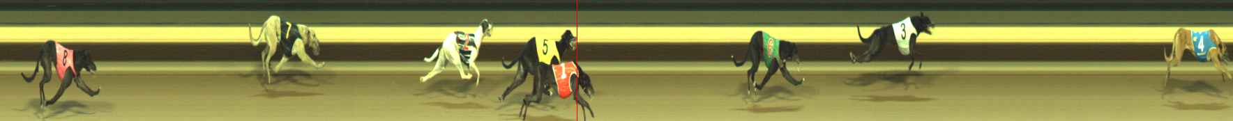 Photo finish for Warragul Race 8