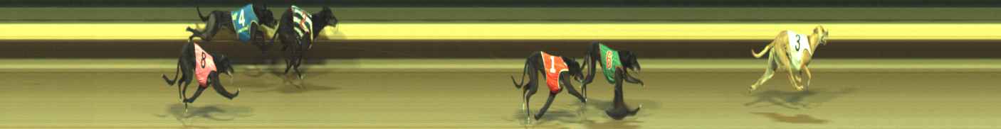 Photo finish for Warragul Race 9