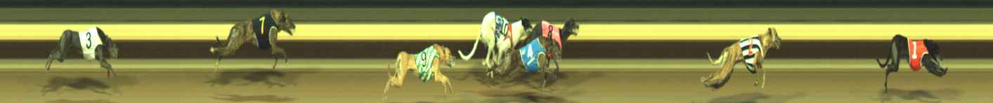 Photo finish for Warragul Race 10
