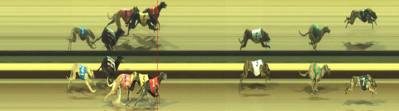 Photo finish for Warragul Race 12
