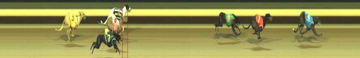 Photo finish for Warragul Race 10