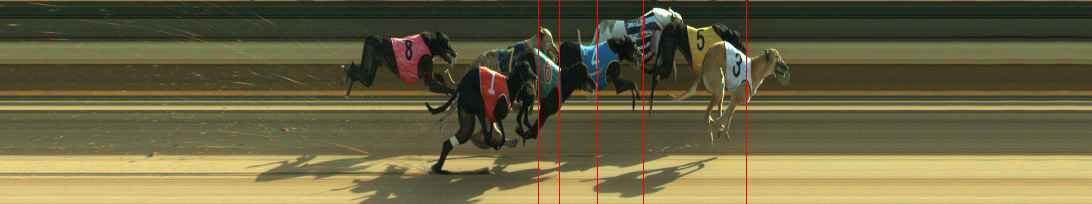 Photo finish for Warragul Race 2