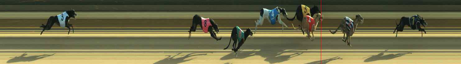 Photo finish for Warragul Race 3