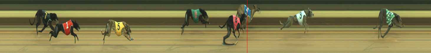 Photo finish for Warragul Race 5
