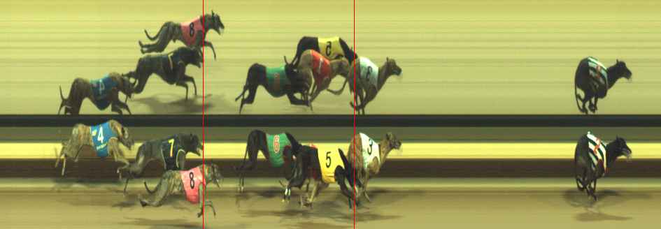 Photo finish for Warragul Race 7