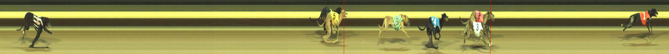 Photo finish for Warragul Race 8