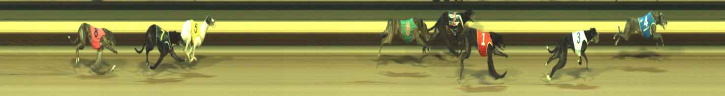 Photo finish for Warragul Race 9