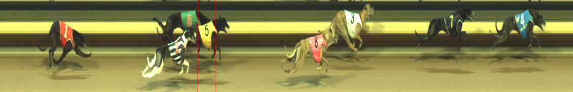 Photo finish for Warragul Race 10