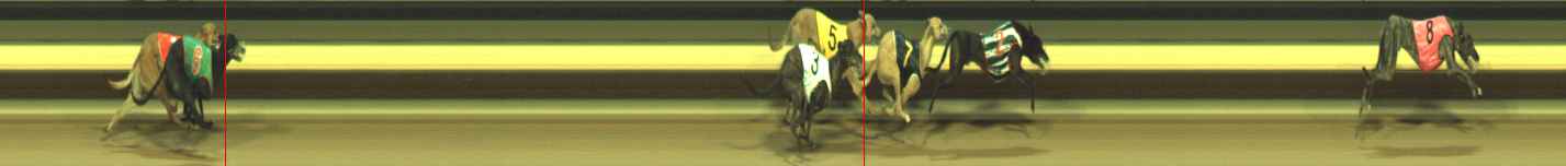 Photo finish for Warragul Race 11